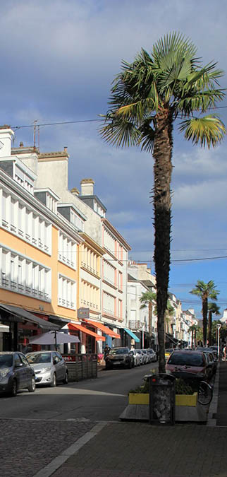 centreville-lorient https://portad.fr/wp-content/uploads/2026/06/centreville-lorient.jpg